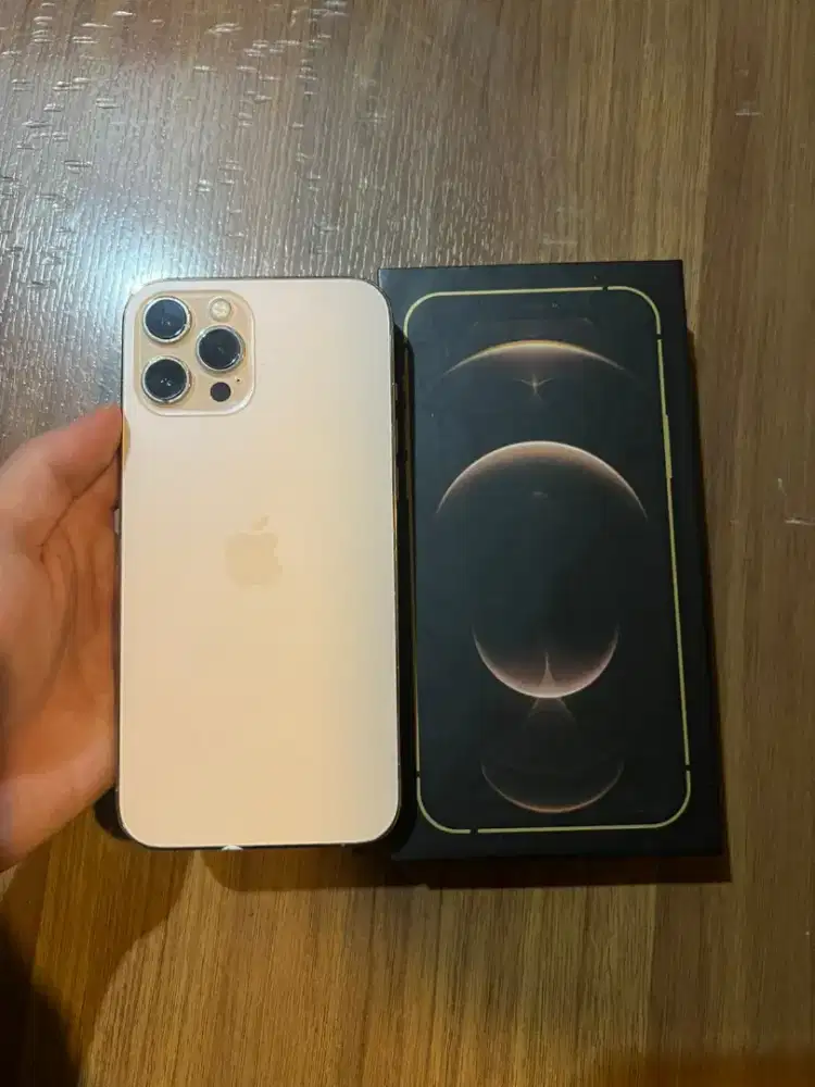 iPhone 12 Pro Max 128GB Gold Mulus Full Fungsi Siap Pakai Harga Masuk