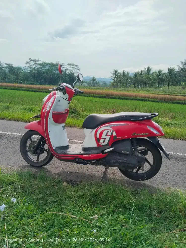 Scoopy 2015esp AA mgl