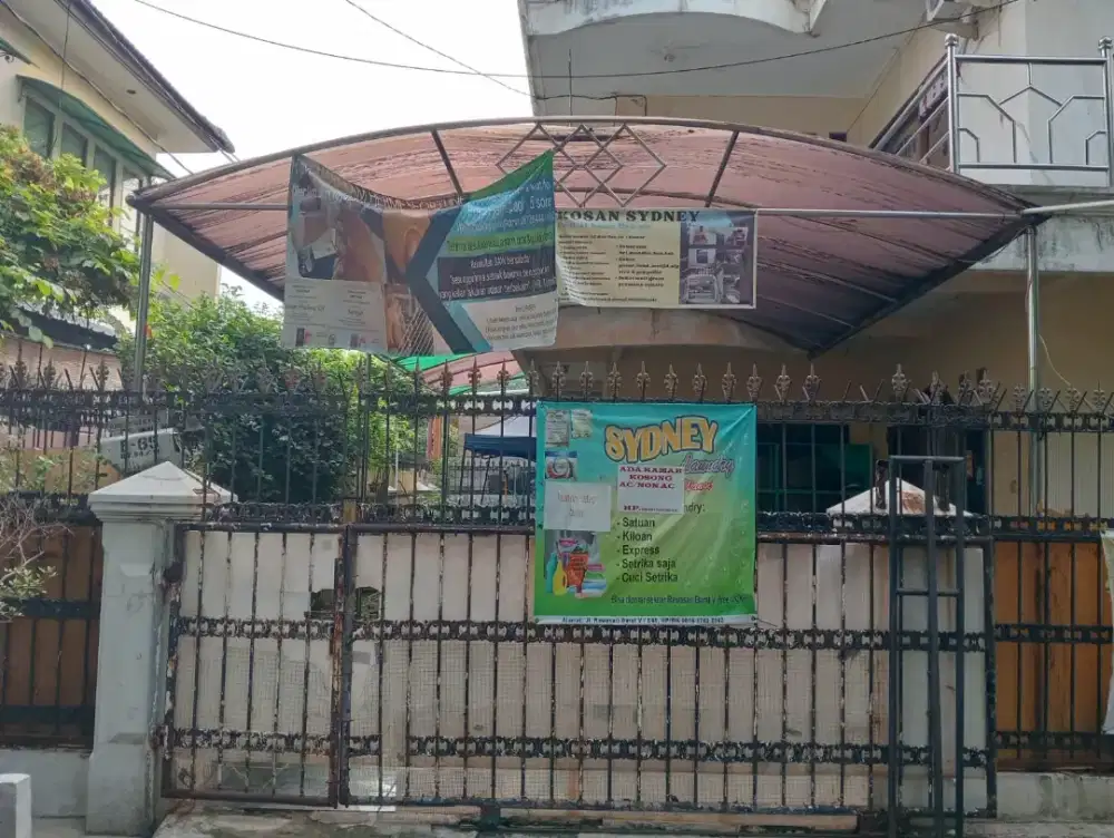 Kos Sidney dicempaka putih