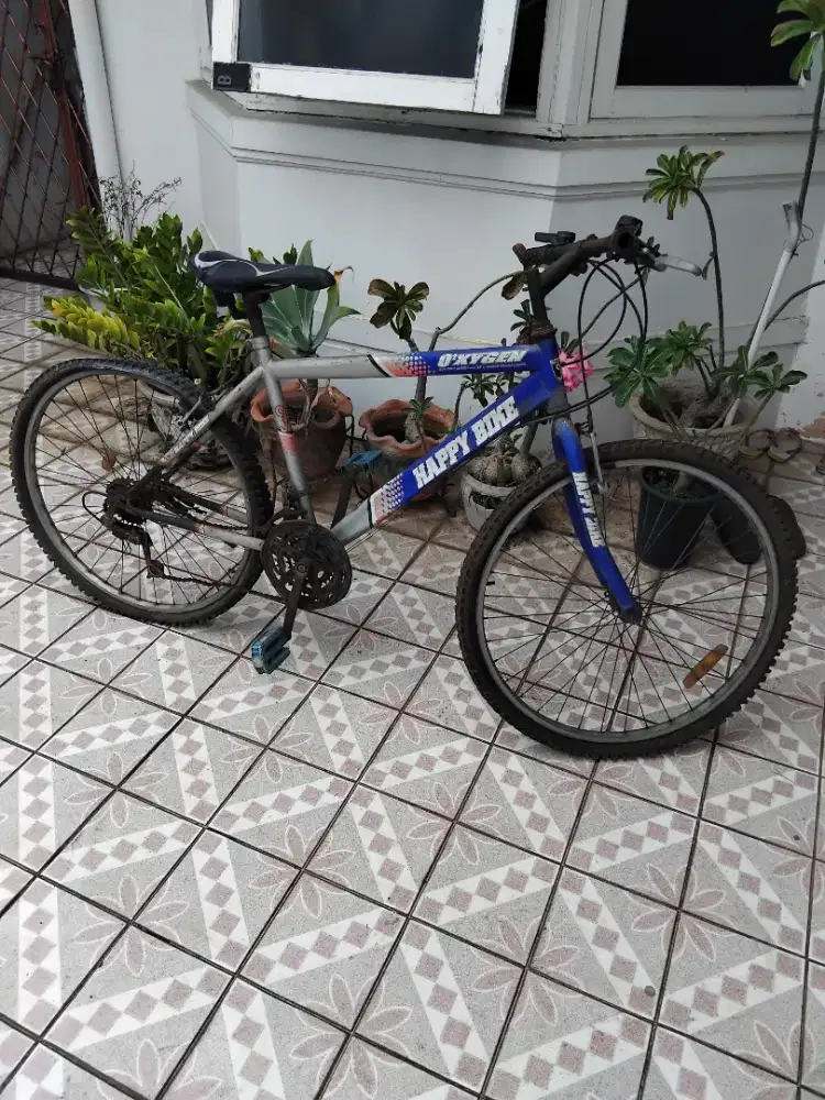 Mountain Bike 26 Inch