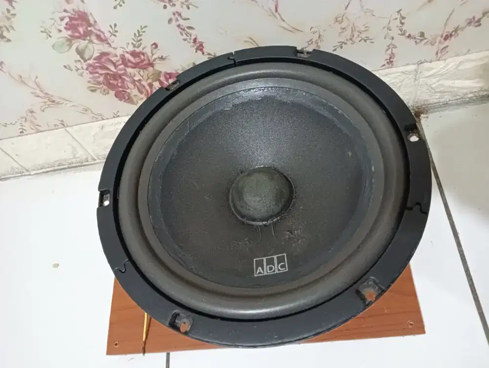 speaker ADC 10 inch double magnet