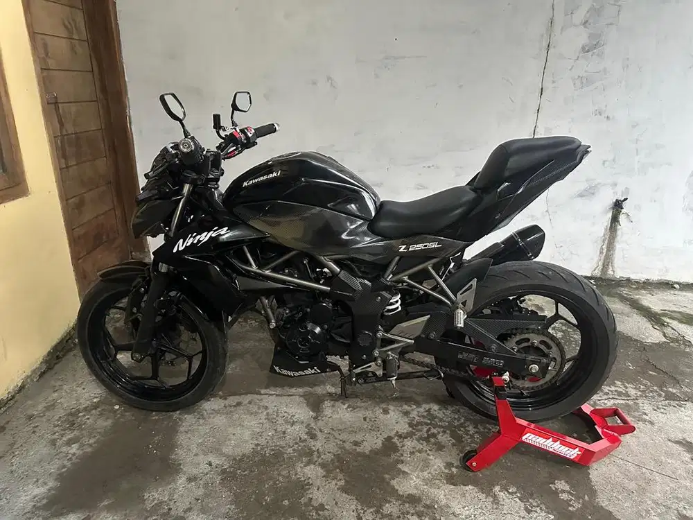 Ninjia 250zl naked