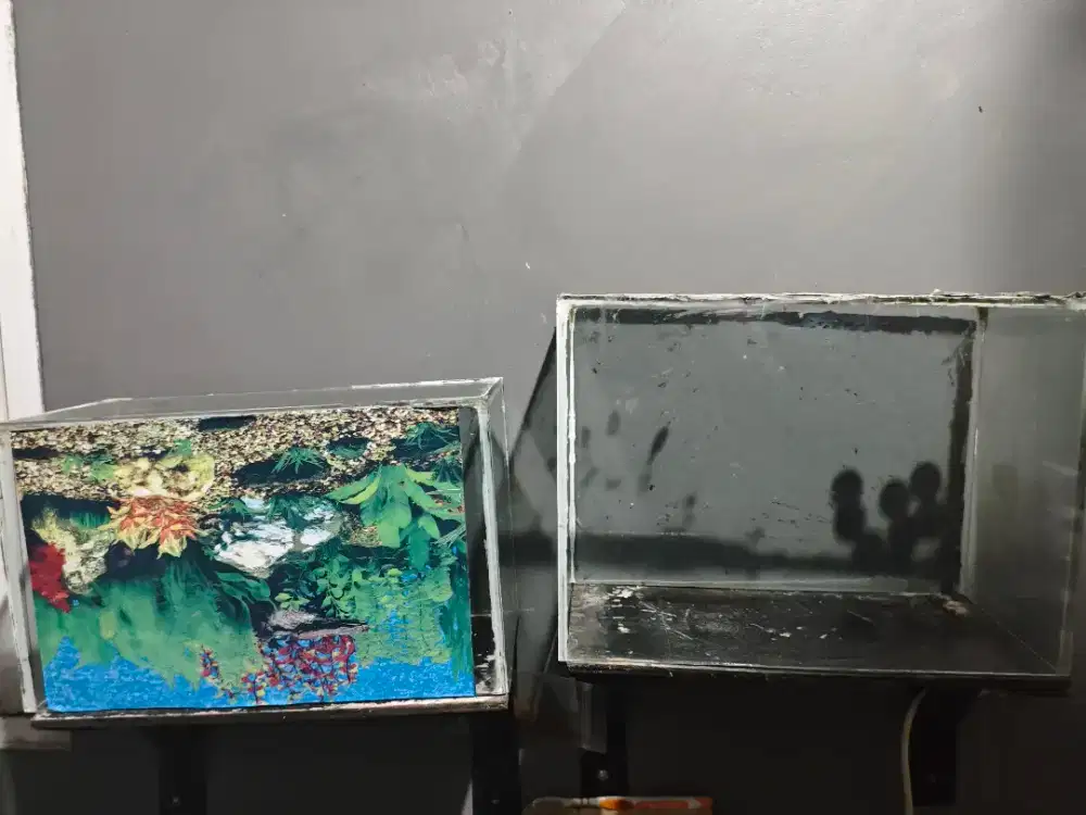 Aquarium 2 unit