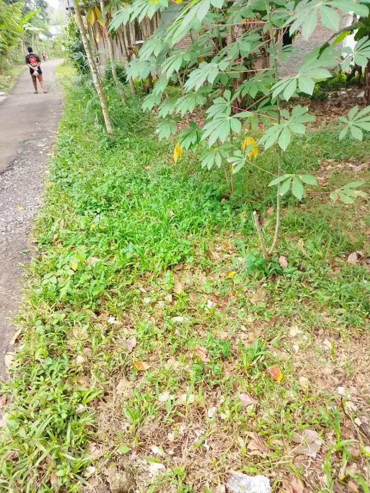 Jual cepat, tanah siap bangun harga terjangkau