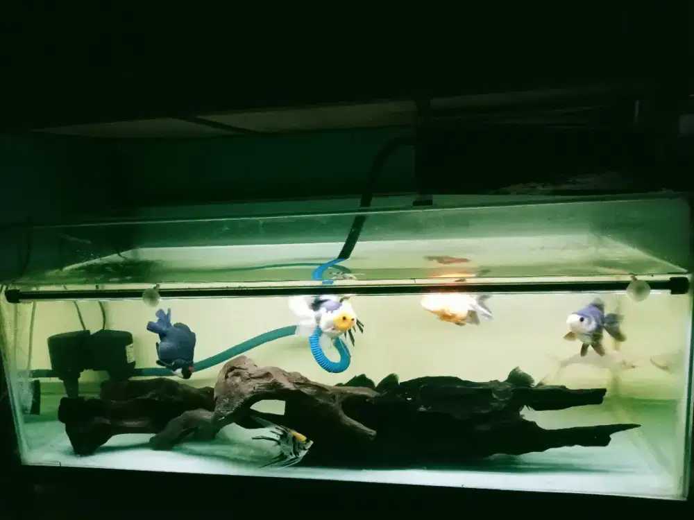 Lampu celup panjang semeter