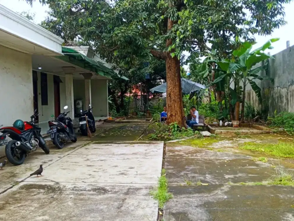 DISEWAKAN RUMAH PERLU DIRENOVASI   KONDISI APA ADANYA    DENGAN HALAMAN SANGAT LUAS  KAWASAN PSR MINGGU JAK-SEL