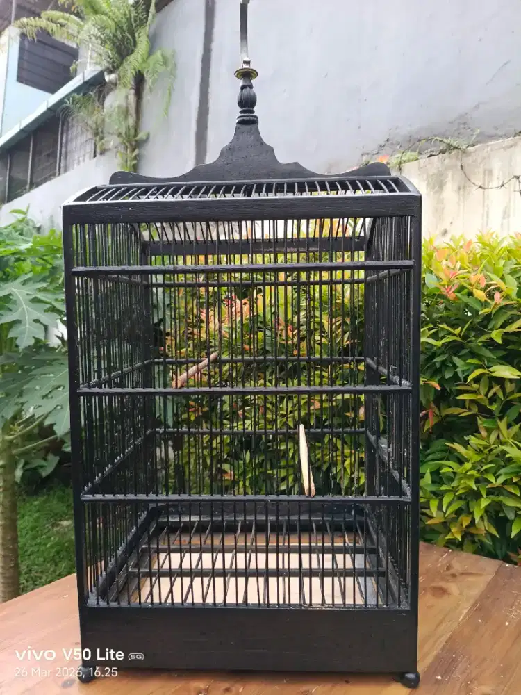 Sangkar Kotak No. 3