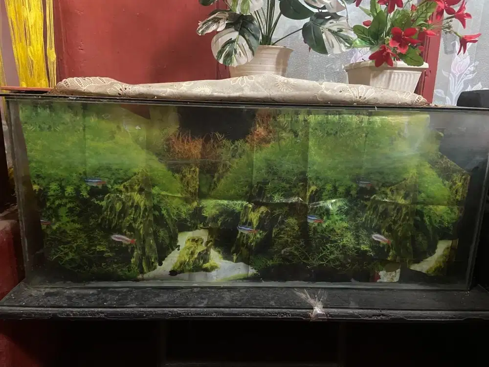 dijual aquarium