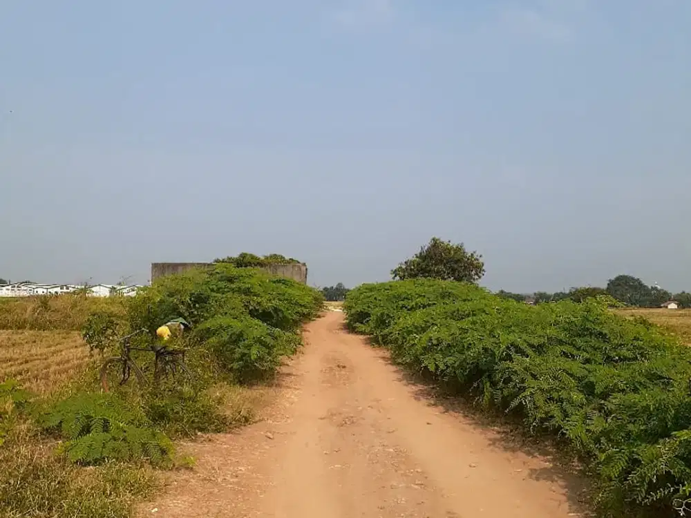 Dijual Tanah Siap Bangun Daerah Zona Kuning Batang, Jawa Tengah. Nego Sampai Deal!