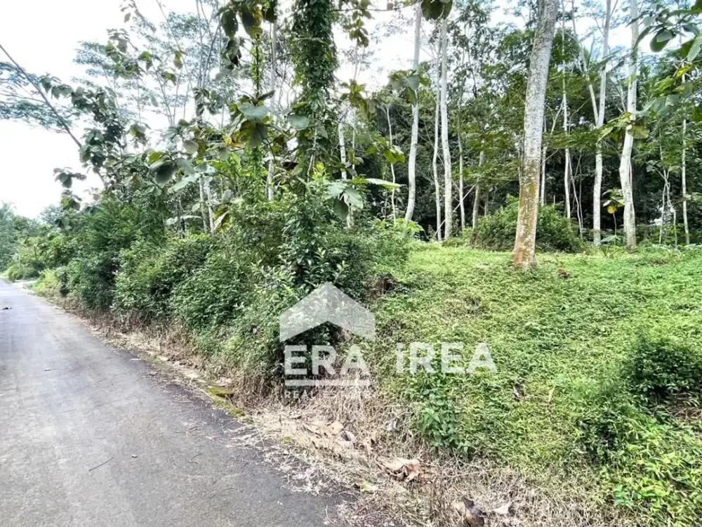 TANAH DIJUAL DI BOYOLALI DEKAT TAMAN AIR TLATAR