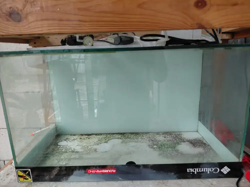 Aqurium + filter ukuran 60cm