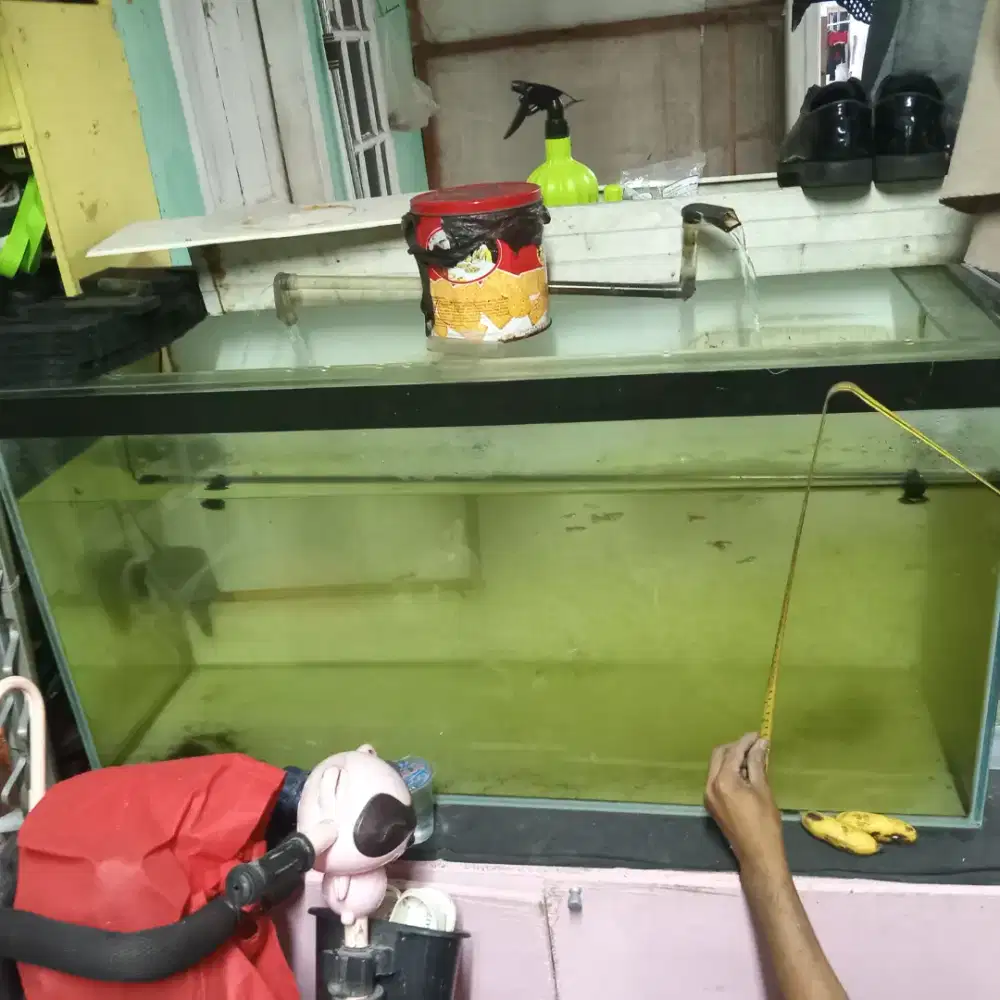 Aquarium ambil di rumah