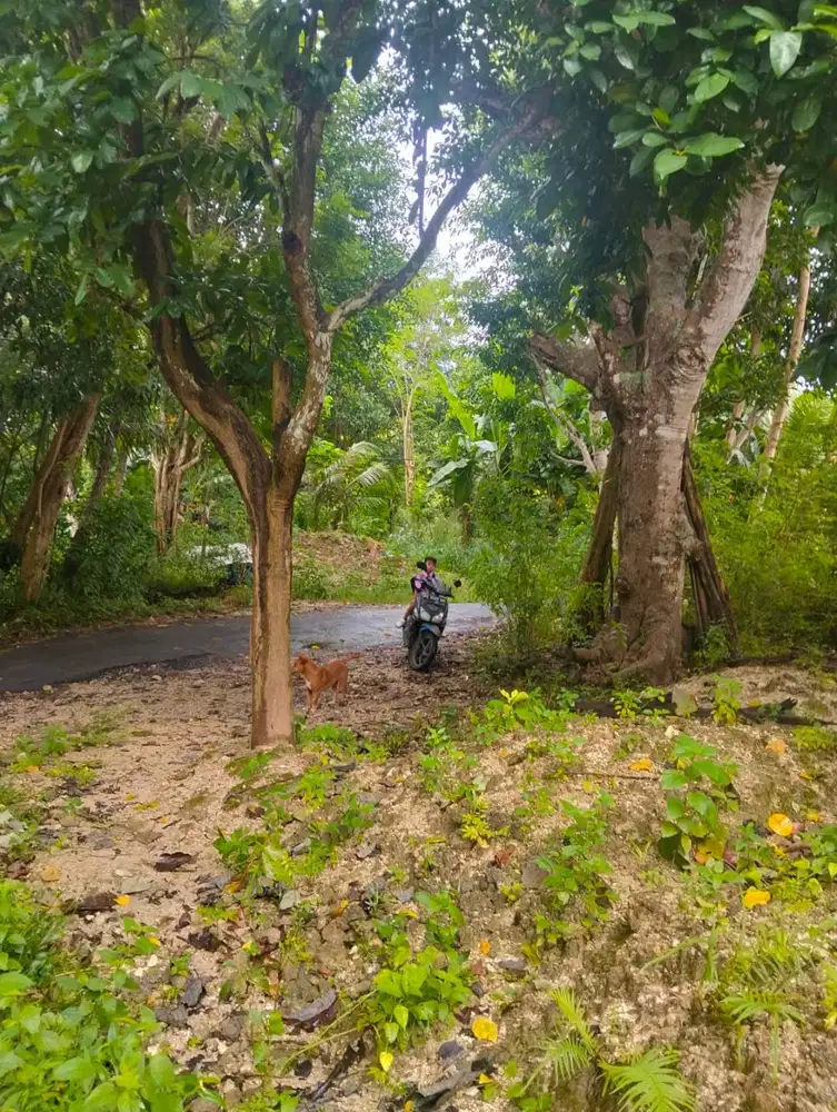 Tanah Murah, Lokasi sangat strategiss di Nusa Penida