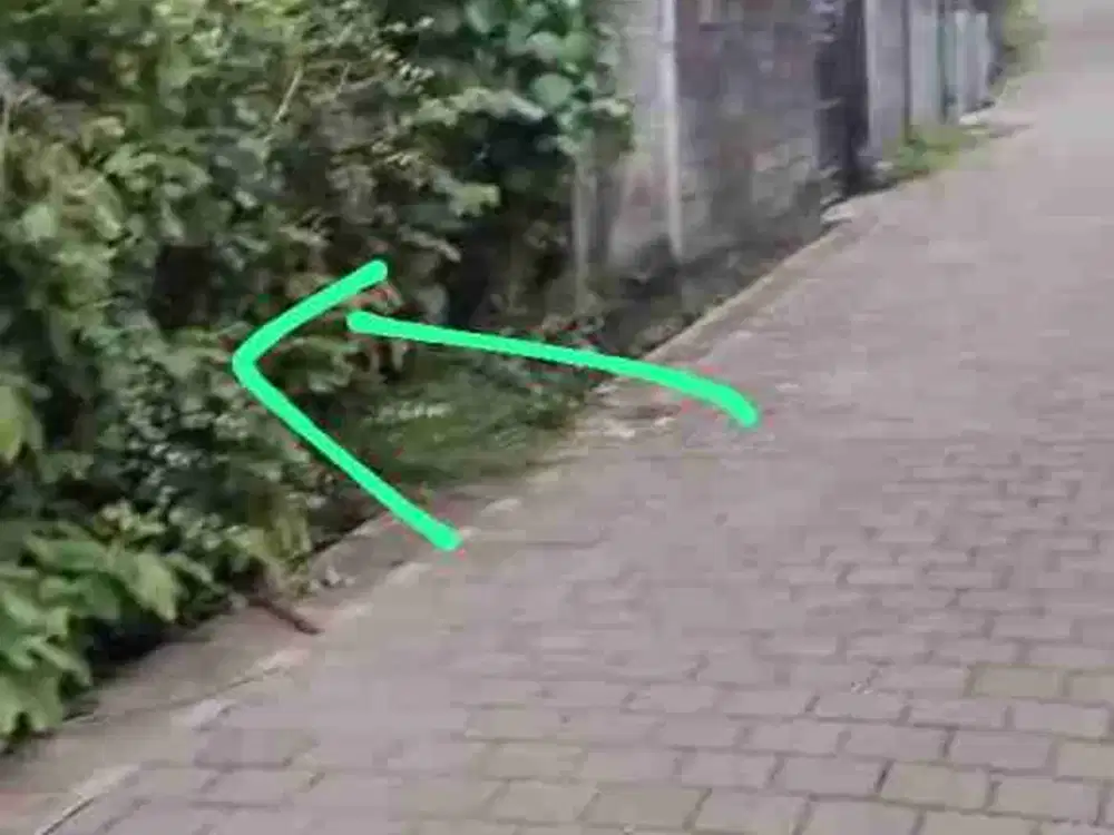 dijual tanah 310m²  harga 575 juta per are kawasan toyaning 1 Ungasan Badung Bali