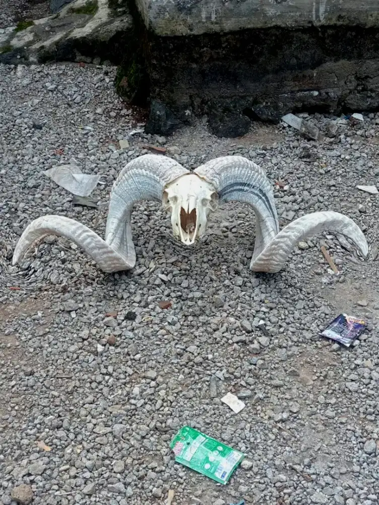 Hiasan Super Antik Asli Mewah