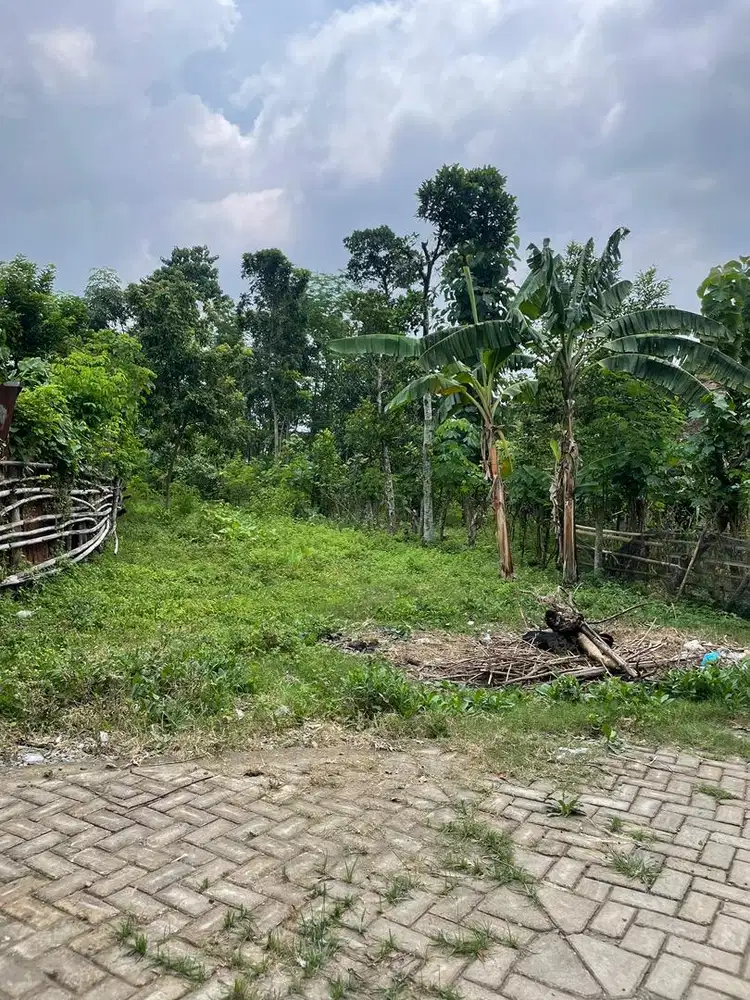 DIJUAL CEPAT TANAH MILIK PRIBADI