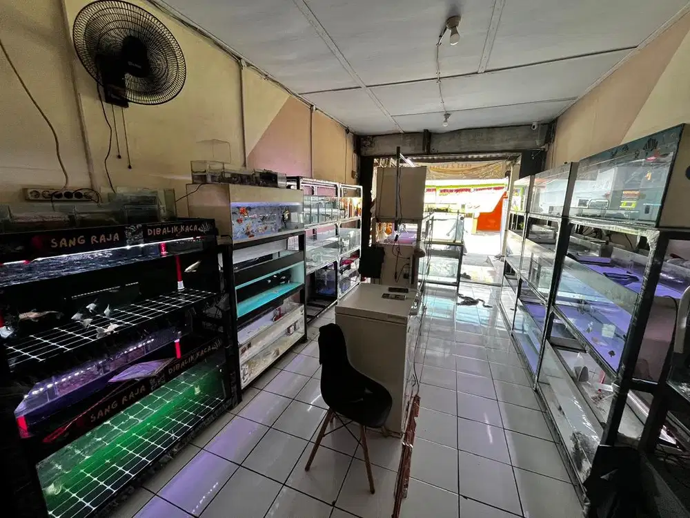 Dibutuhkan jaga toko ikan hias