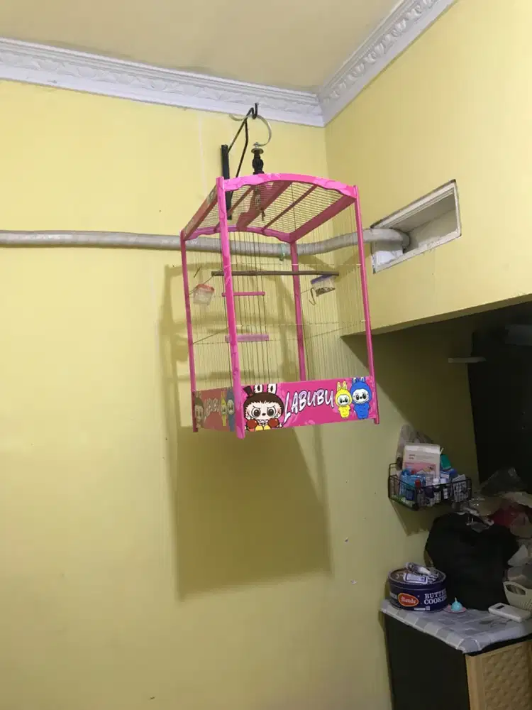 KANDANG SENAR NO 2/3 EX KENARI