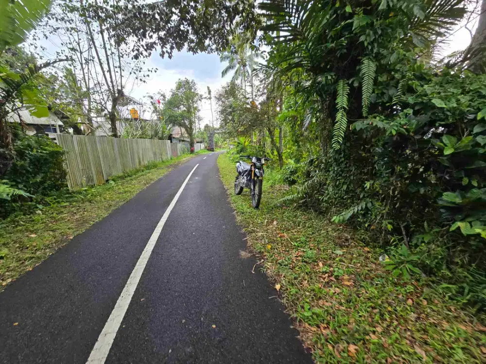 Dijual tanah murah view lembah di tabanan bali