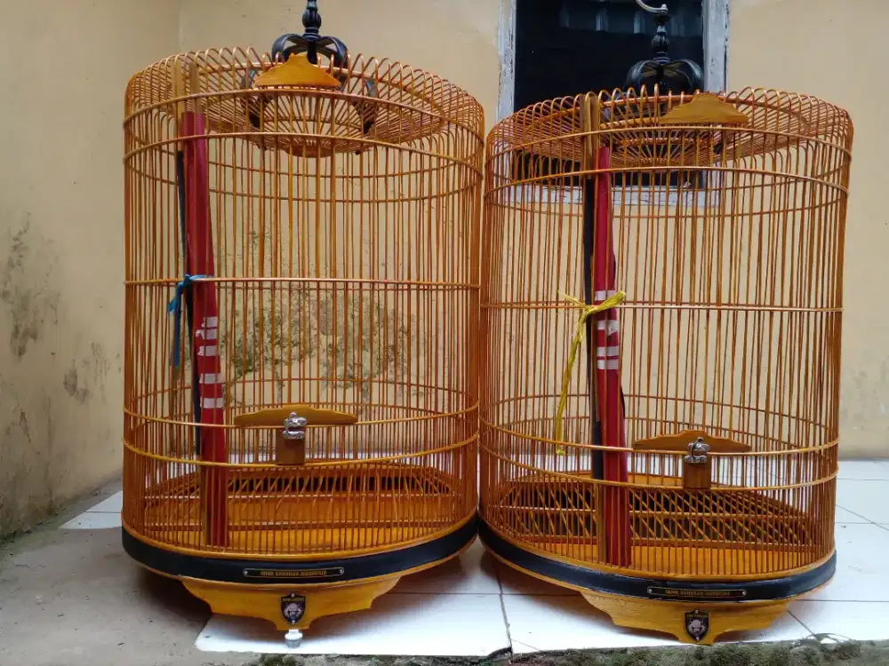 Sangkar burung murai batu