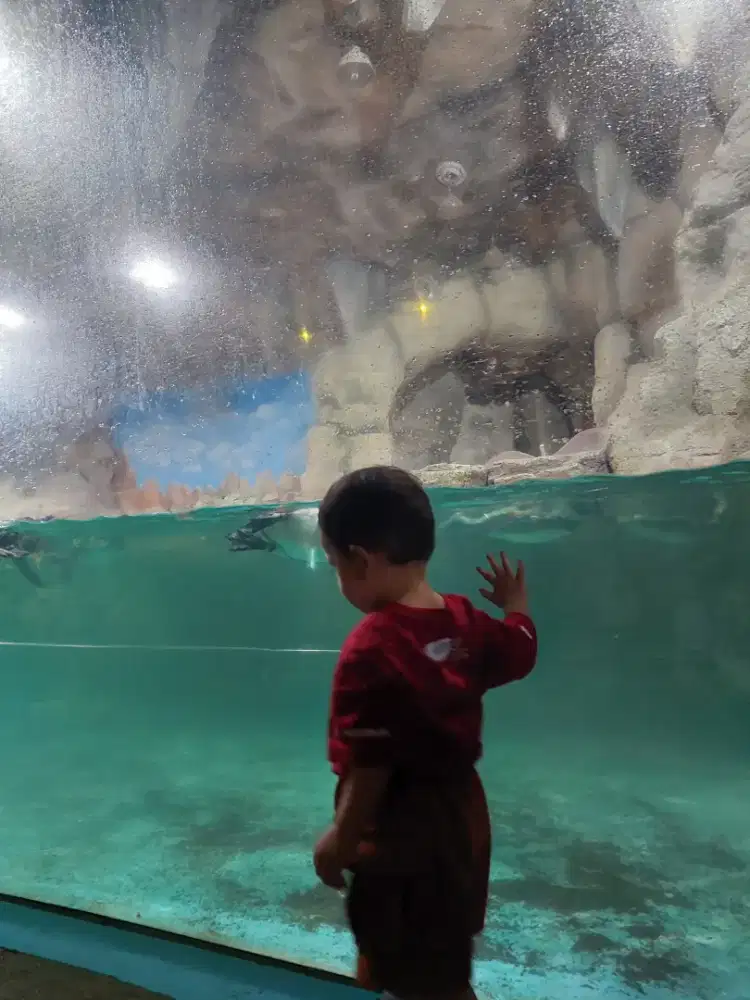 Dibutuhkan pengasuh anak