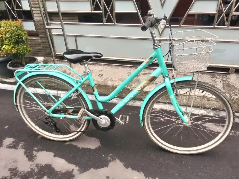 Polygon Lovina Alloy ring 26 mulus