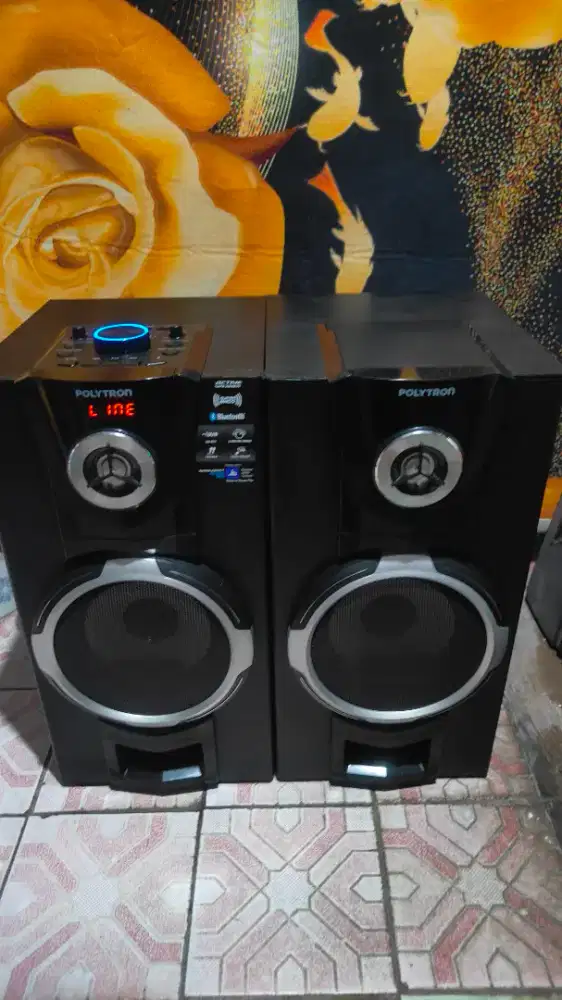 Salon Polytron pas8f12