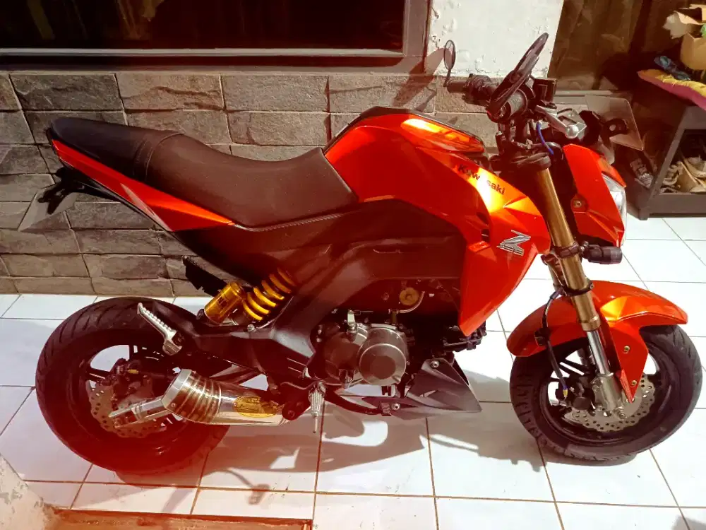 Kawasaki Z125 Pro