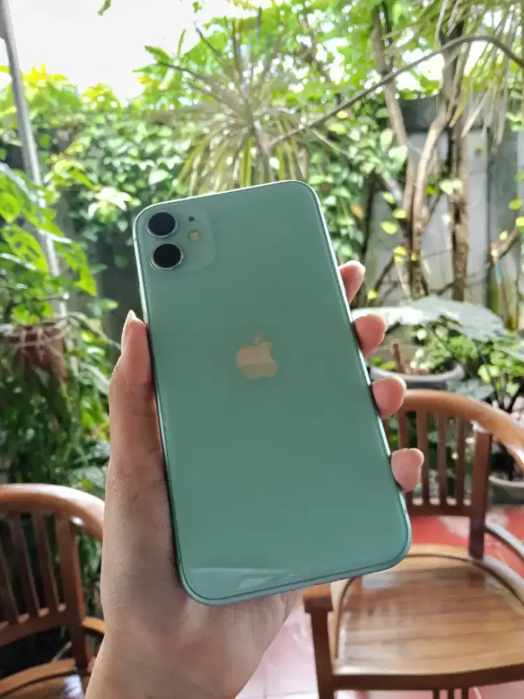 Iphone 11 64GB Green