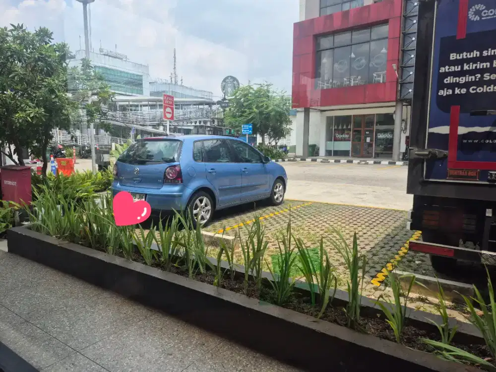 VW Polo 2007 Rare Color