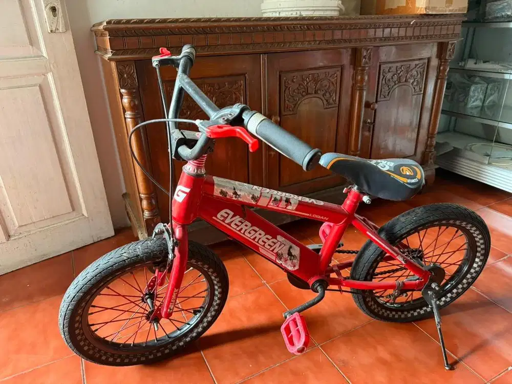 Sepeda anak usia 5th up