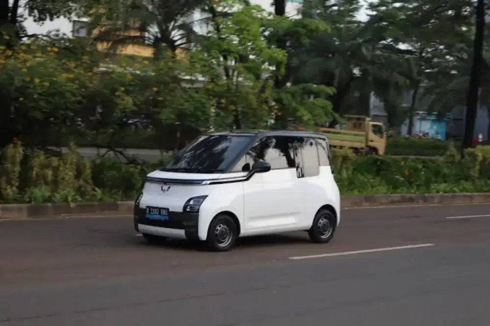 Sopir Mobil untuk 6 bulan