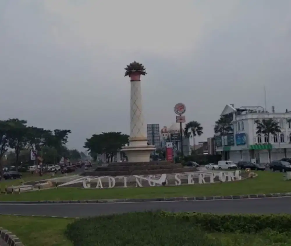 Dicari supir + kerja serabutan