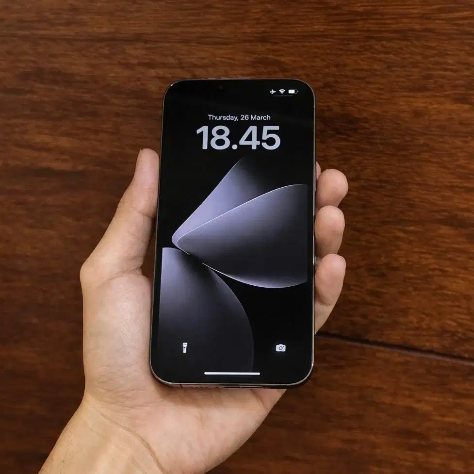 iPhone 13 Pro Max 256GB Mulus