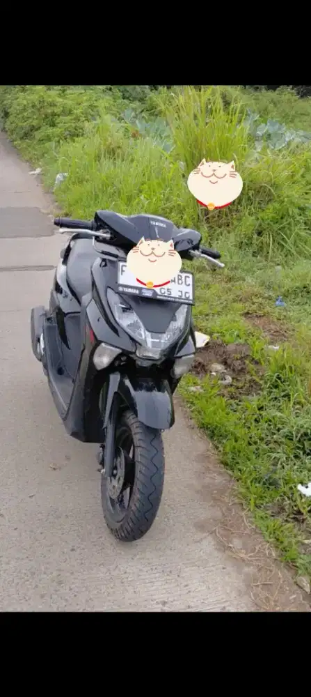 Ultima gear mulus 2025 km low 4 rb an