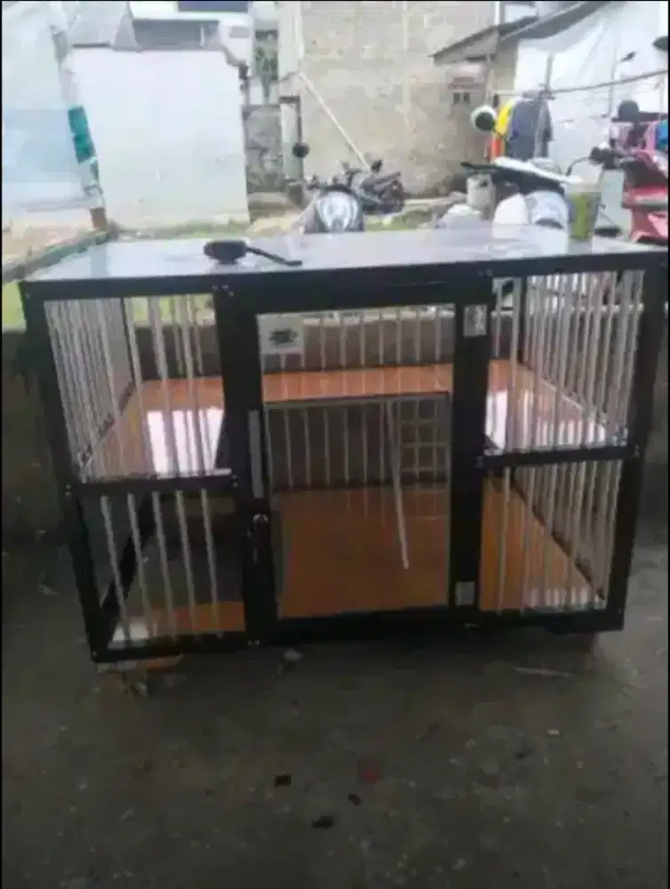Kandang kucing 1 ruang