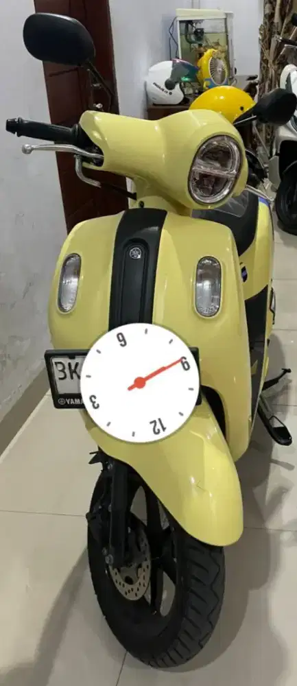 Fazzio tahun tinggi jarang digunakan