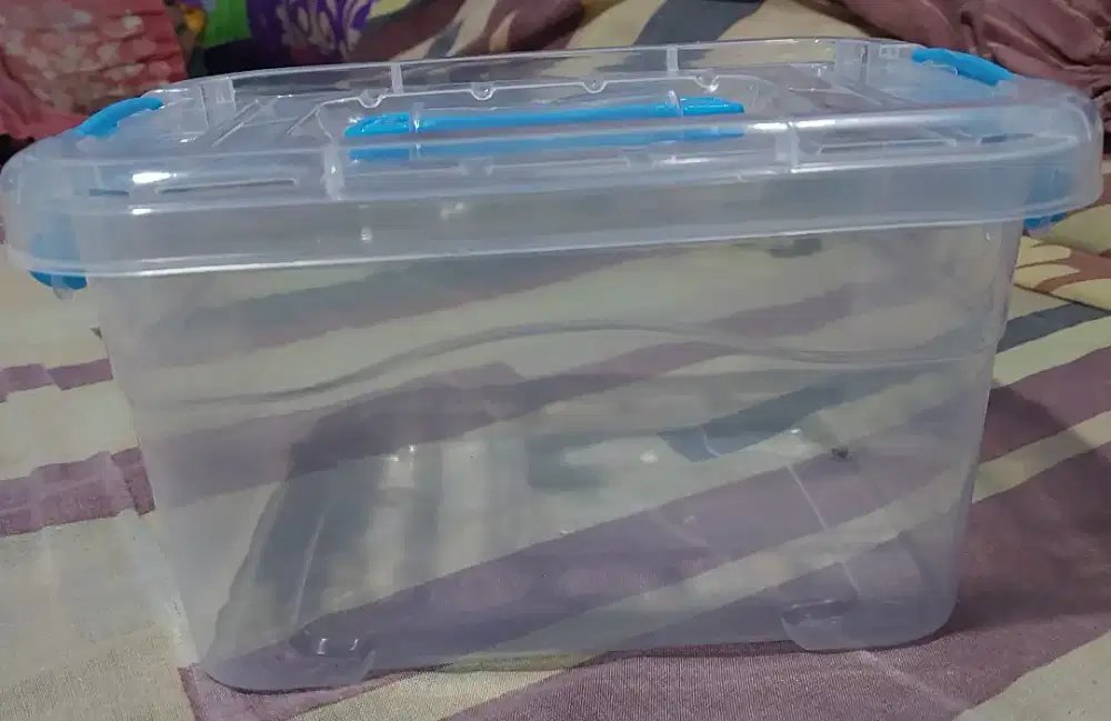 Box Container Transparan