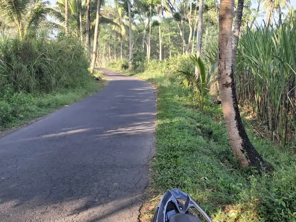 KEBUN SENGON MURAH DEKAT KOTA MALANG