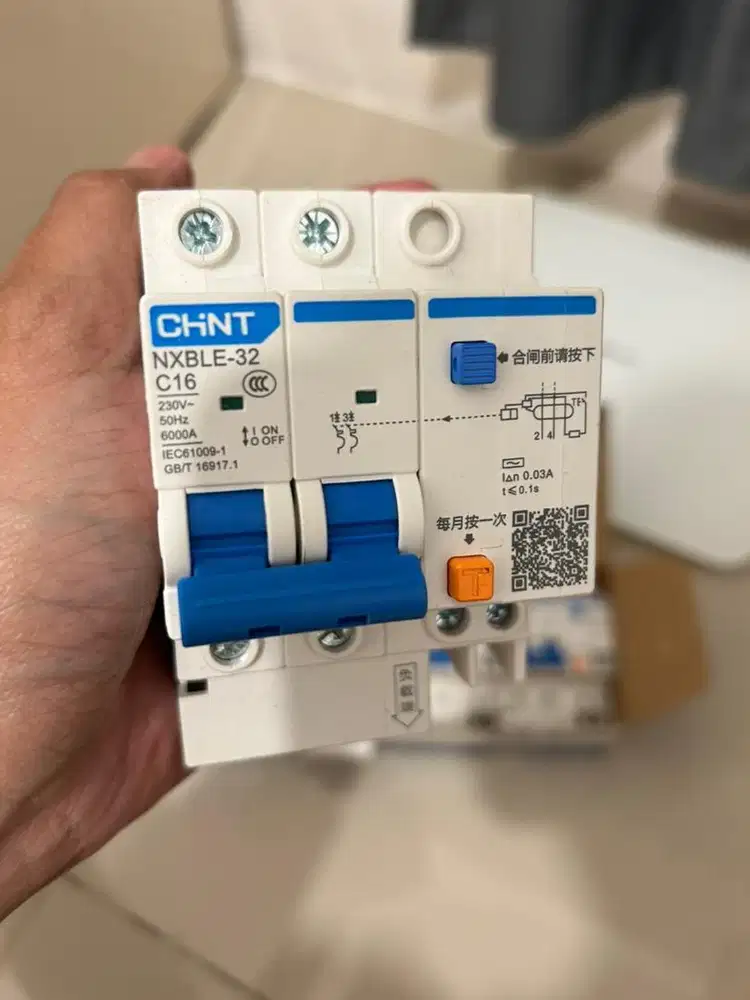 RCBO + MCB Chint NXBLE-32 2P 16 (A)