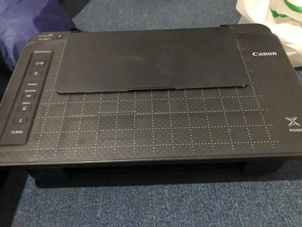 Printer Canon ts307a mulus