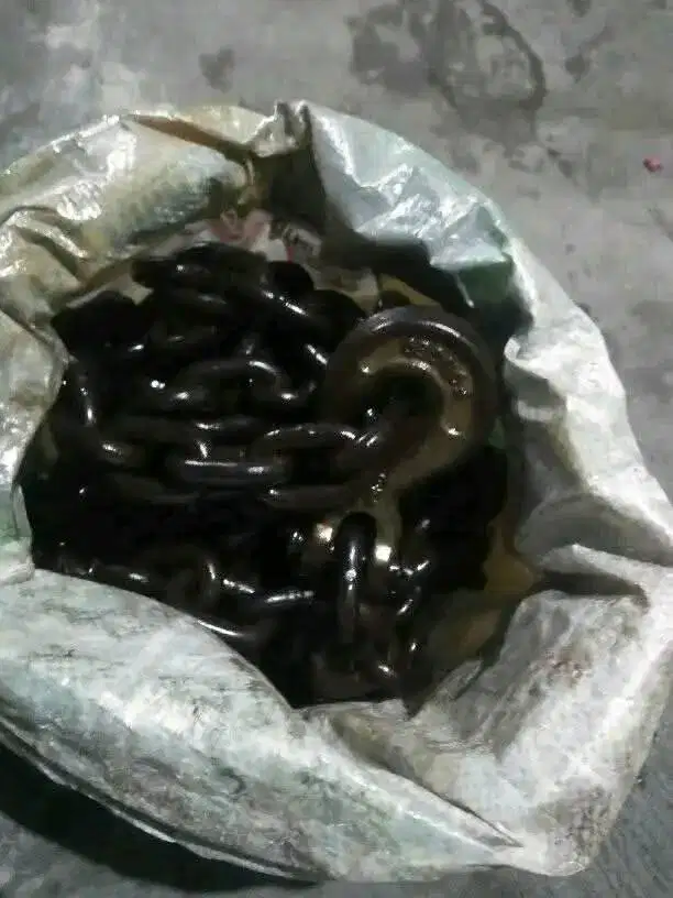 load binder + rantai 6 meter