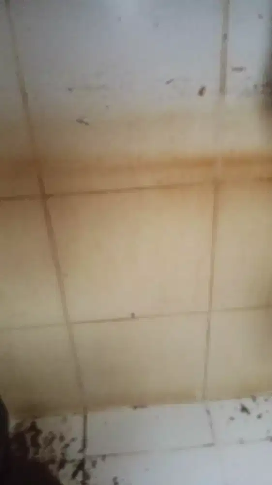 Cuci tandon ruma kantor ruko kos kosan dan dll