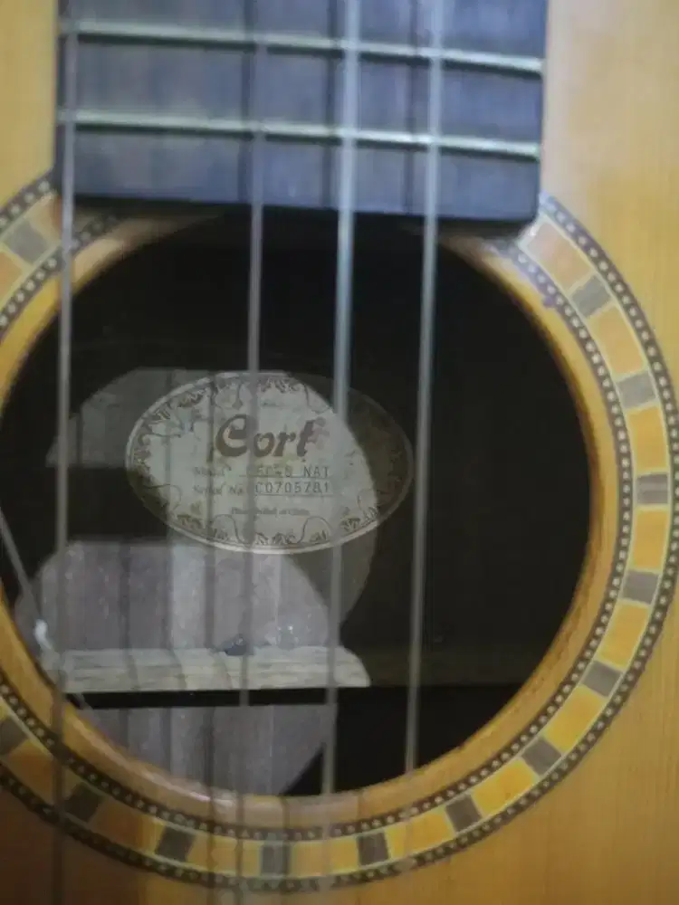 Gitar akustik elektrik