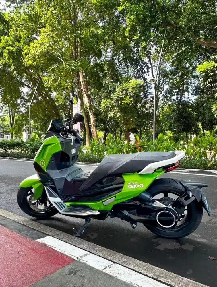 Alva cervo mint low km