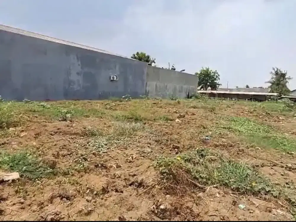 Disewakan Tanah Padat Dengan Harga Murah Di Babelan. Kabupaten Bekasi