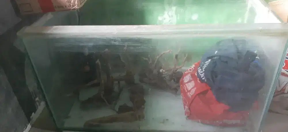 Aquarium kira2 ukuran  P80cm×L50×T50+ pompa + mesin kabut