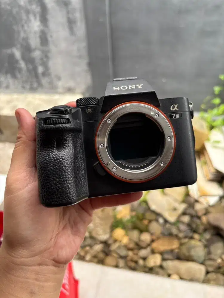SONY ALPHA 7iii