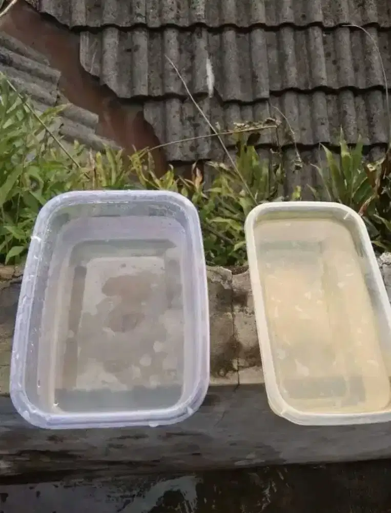 Tabung,media dan pasang