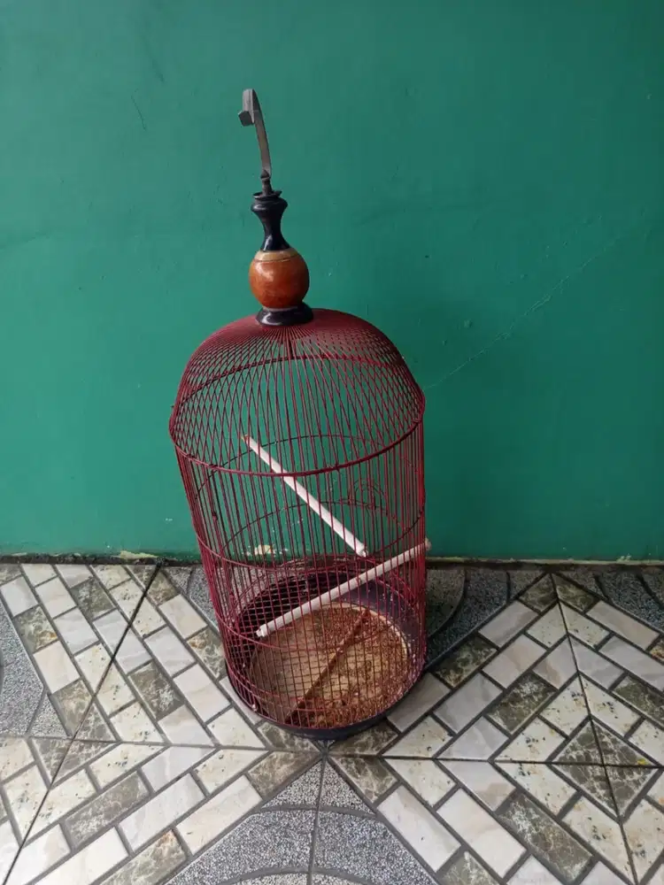 Kandang lovebird